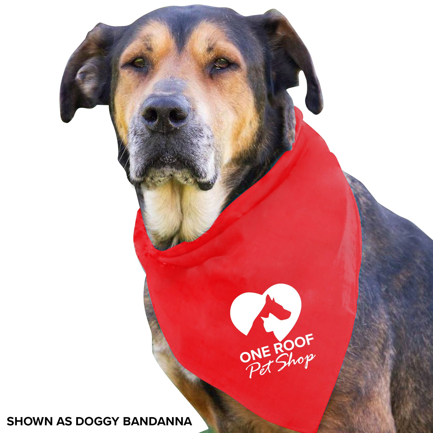 Pet Bandana